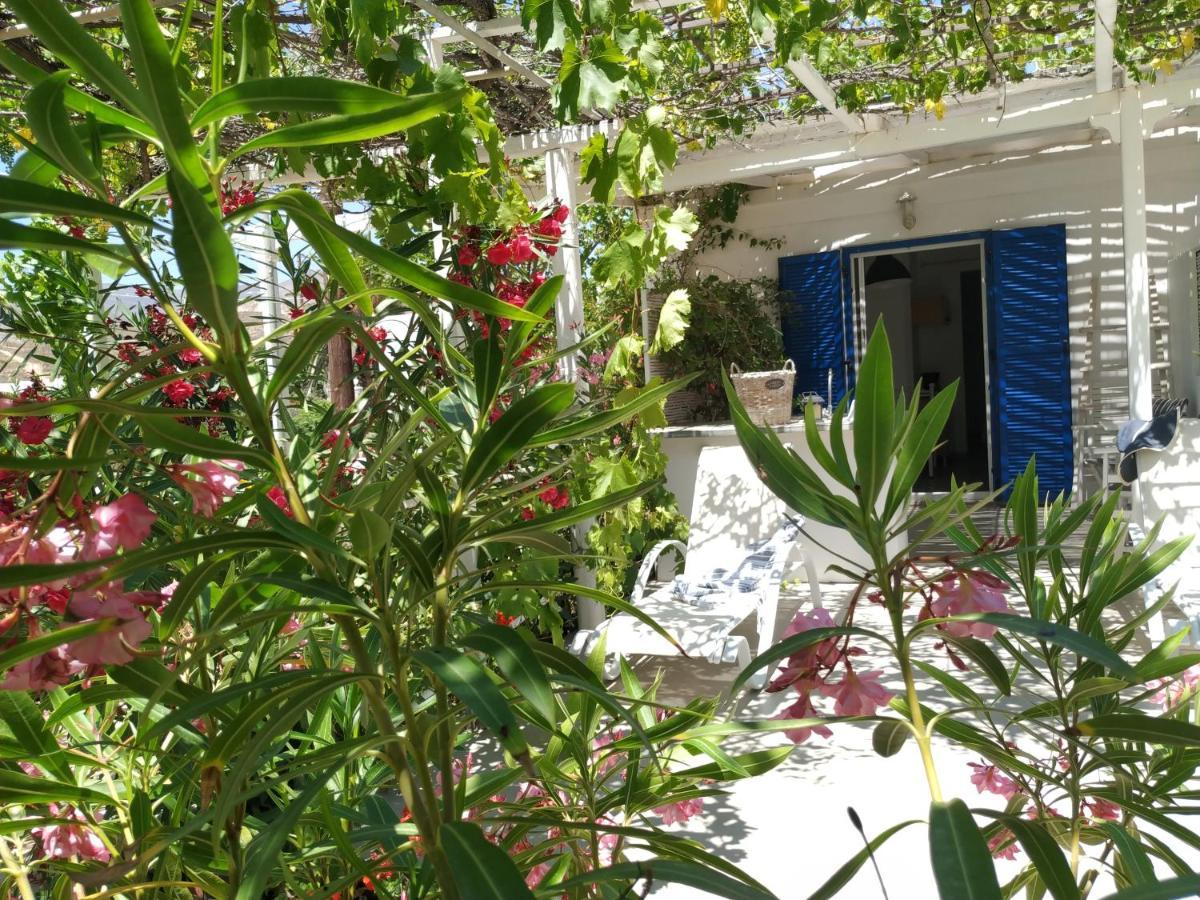 Avlomonasbeach Livadi  Exterior photo