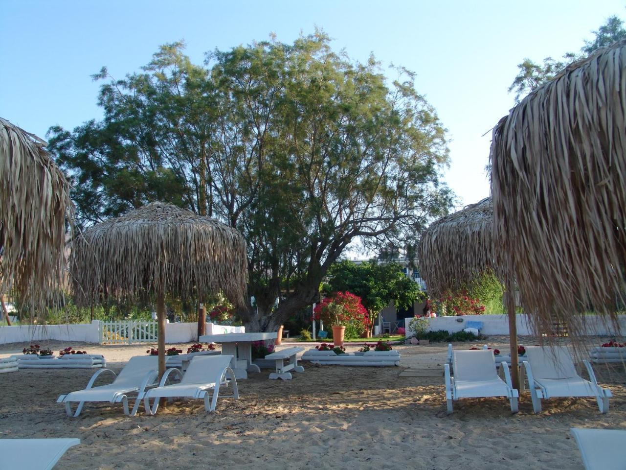 Avlomonasbeach Livadi  Exterior photo